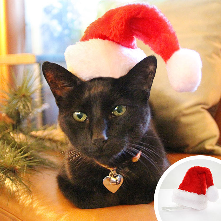 Pet Santa Hat - Christmas Photo Prop | X-Small Mini Size for Cats, Kittens + Small Dogs