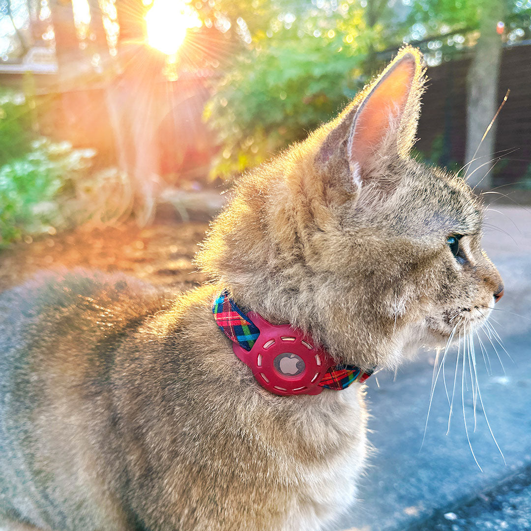 AirTag® Holders For Pet Collars