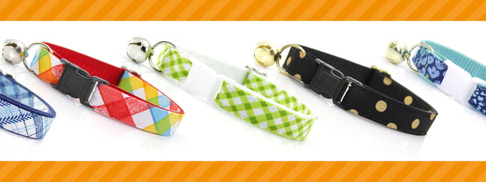 Breakaway vs Non-Breakaway Collars