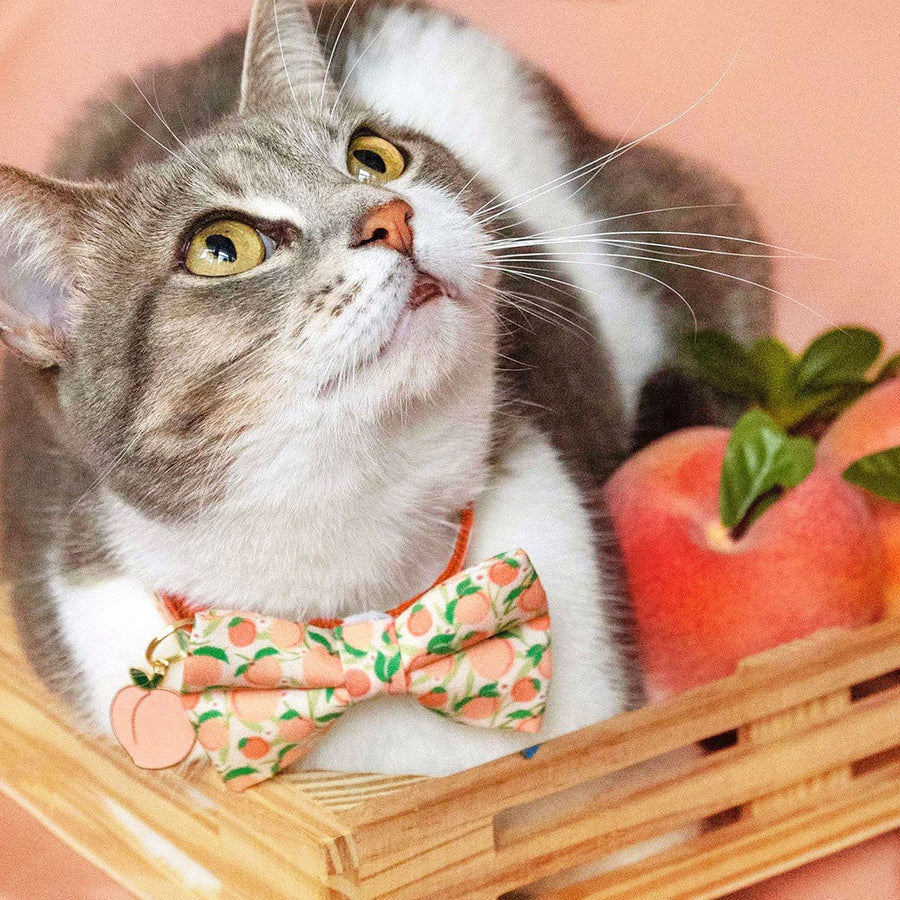 Bow Tie Cat Collar Set - "Just Peachy" - Peach Cat Collar w/ Matching Bowtie / Peaches, Fruit, Spring, Summer / Cat, Kitten, Small Dog Sizes