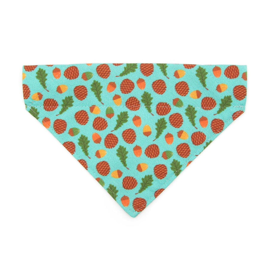 Pet Bandana - "Woodland - Sky" - Pine Cones, Leaves & Acorns Turquoise Blue Bandana for Cat + Small Dog / Slide-on Bandana / Over-the-Collar (One Size)