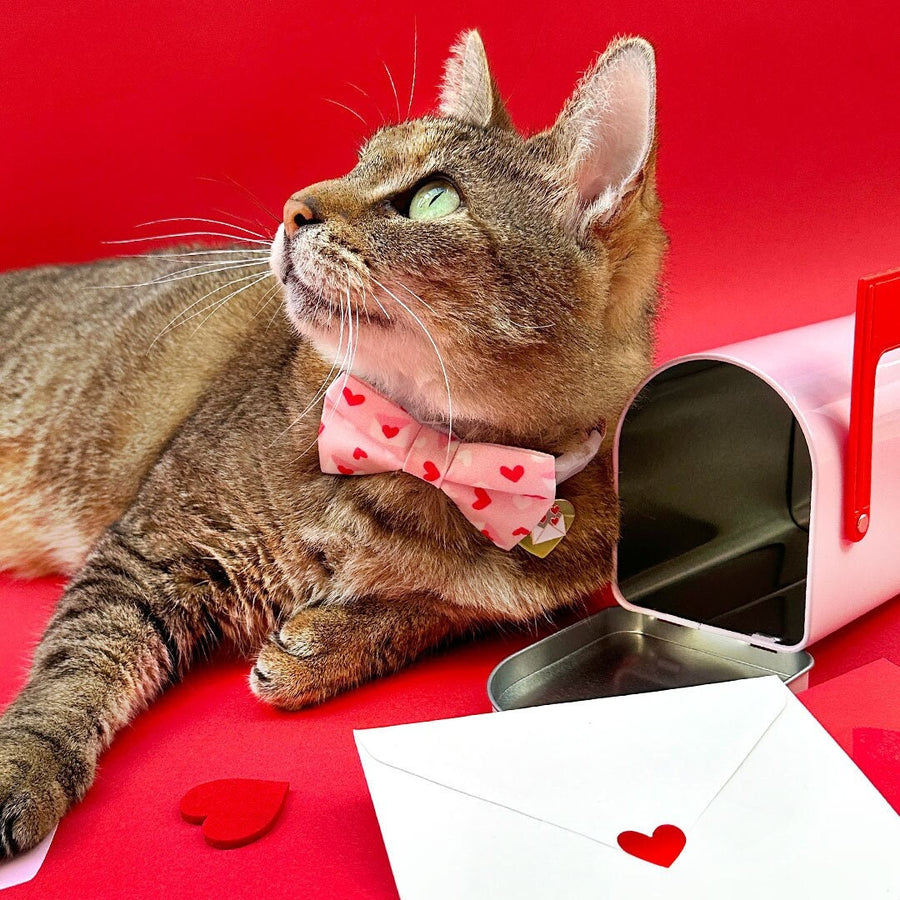 Bow Tie Cat Collar Set - "Sealed With A Kiss" - Pink Valentine's Day Cat Collar w/ Matching Bowtie / Love Letter Heart Mail / Cat, Kitten, Small Dog Sizes