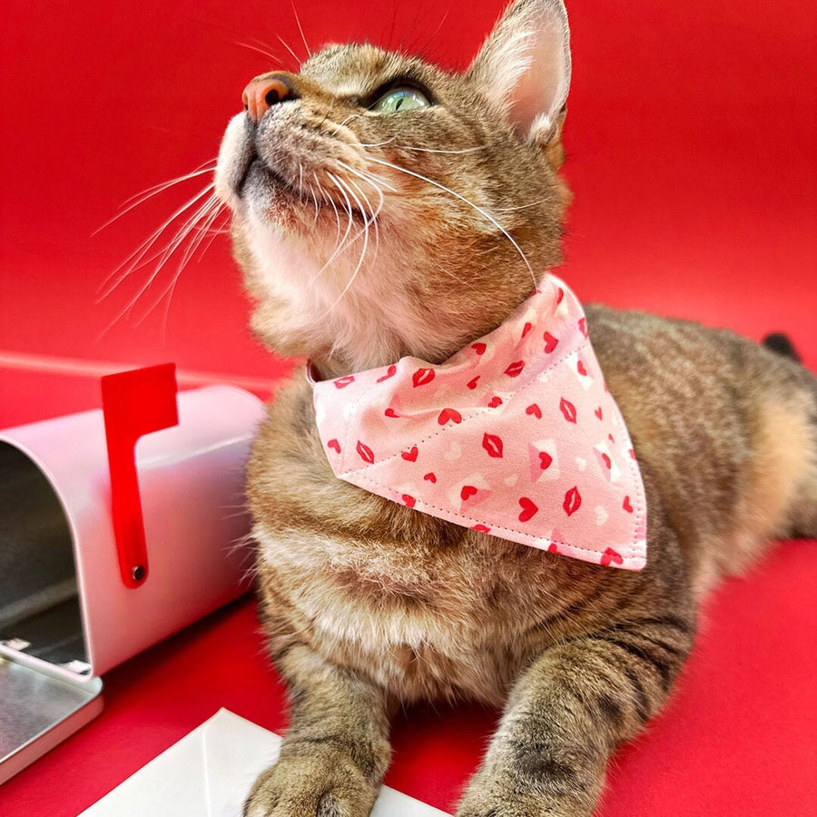 Pet Bandana - "Sealed With A Kiss" - Valentine's Day Bandana for Cat + Small Dog / Pink Love Letter Mail / Slide-on Bandana / Over-the-Collar (One Size)