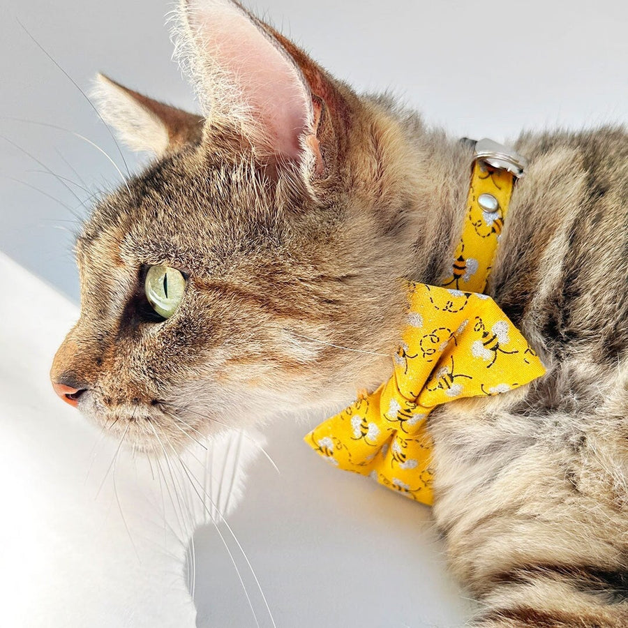 Bow Tie Cat Collar Set - "Show Me The Honey" - Yellow Bee Cat Collar w/ Matching Bowtie / Spring + Summer / Cat, Kitten, Small Dog Sizes