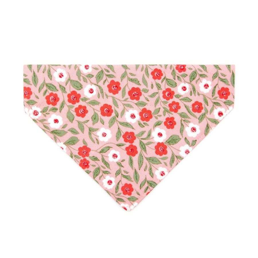 Cat Bandana - "Posies" - Red & Pink Floral Bandana for Cat + Small Dog / Spring, Easter, Valentine's Day, Wedding / Slide-On Over the Collar Bandana