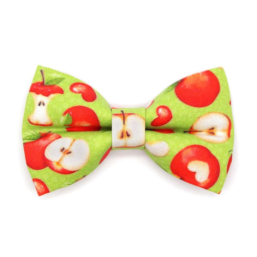 Apple Cat Bow Tie - "Apple Of My Eye" - Green Bow Tie for Cat Collar / Fall, Back To School, Teacher, Apple Picking / Cat, Kitten + Small Dog Bowtie