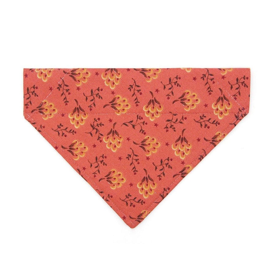 Rustic Cat Bandana - "Prairie Bloom" - Cottagecore Rust Red Bandana for Cat + Small Dog / Fall, Thanksgiving / Slide-on Bandana / Over-the-Collar