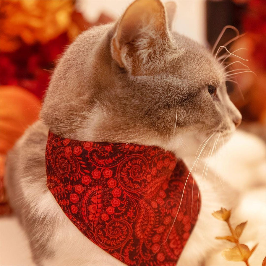 Paisley Cat Bandana - "Tapestry" - Burgundy Red Bandana for Cat + Small Dog / Fall, Thanksgiving, Holiday / Slide-on Bandana / Over-the-Collar
