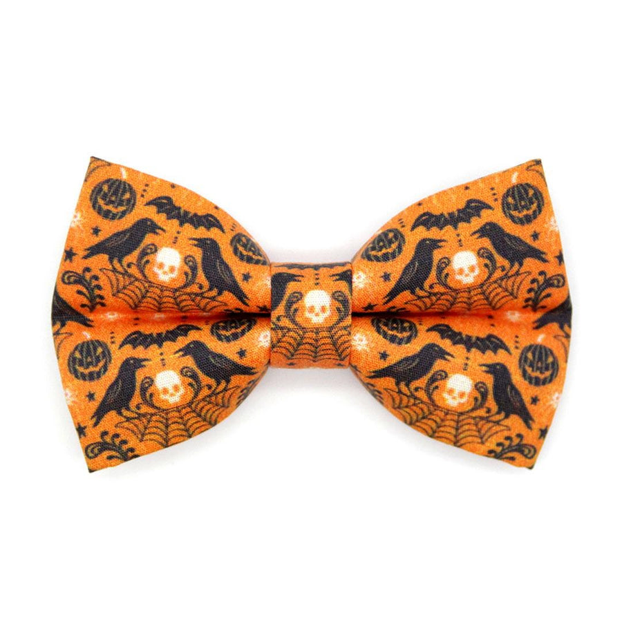 Raven Cat Bow Tie - "Nevermore" - Orange Halloween Bow Tie for Cat Collar / Gothic, Spiderweb, Edgar Allen Poe / Cat, Kitten + Small Dog Bowtie