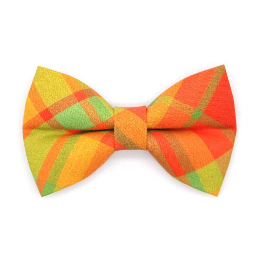 Fall Cat Bow Tie - "Cider Hill" - Orange Plaid Bow Tie for Cat Collar / Autumn, Thanksgiving, Harvest / Cat, Kitten + Small Dog Bowtie