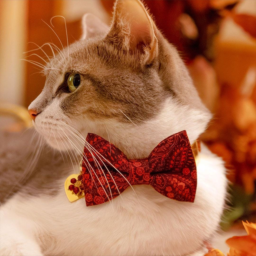 Bow Tie Cat Collar Set - "Tapestry" - Burgundy Red Paisley Cat Collar with Bow Tie / Fall, Thanksgiving, Holiday / Cat, Kitten, Small Dog Sizes