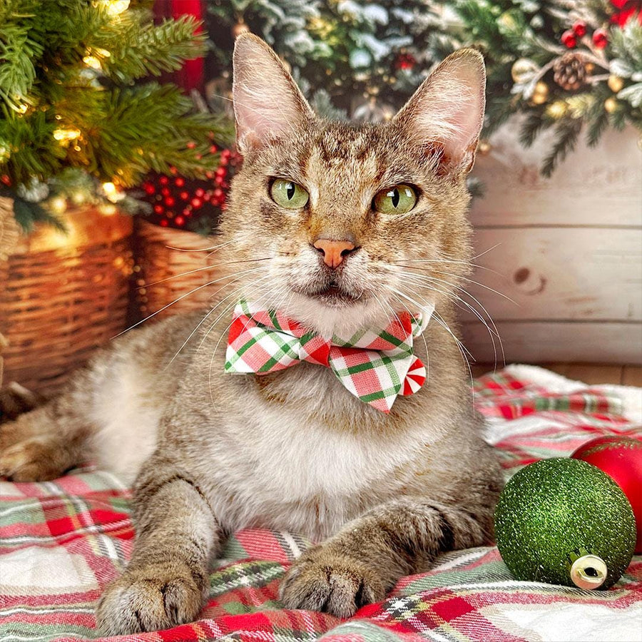 Christmas Bow Tie Cat Collar Set - "Jolly Plaid" - Red & Green Holiday Plaid Cat Collar with Bow Tie / Cat, Kitten, Small Dog Sizes