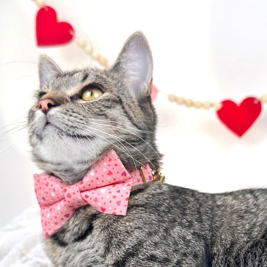 Heart Bow Tie + Cat Collar Set - "Cupid Confetti" - Pink Cat Collar with Bow Tie / Valentine's Day / Cat, Kitten, Small Dog Sizes