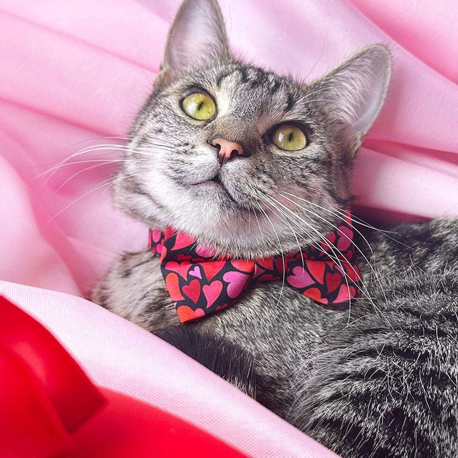 Heart Bow Tie Cat Collar Set - "Crush" - Valentine's Day Red & Pink Cat Collar with Bow Tie / Cat, Kitten, Small Dog Sizes