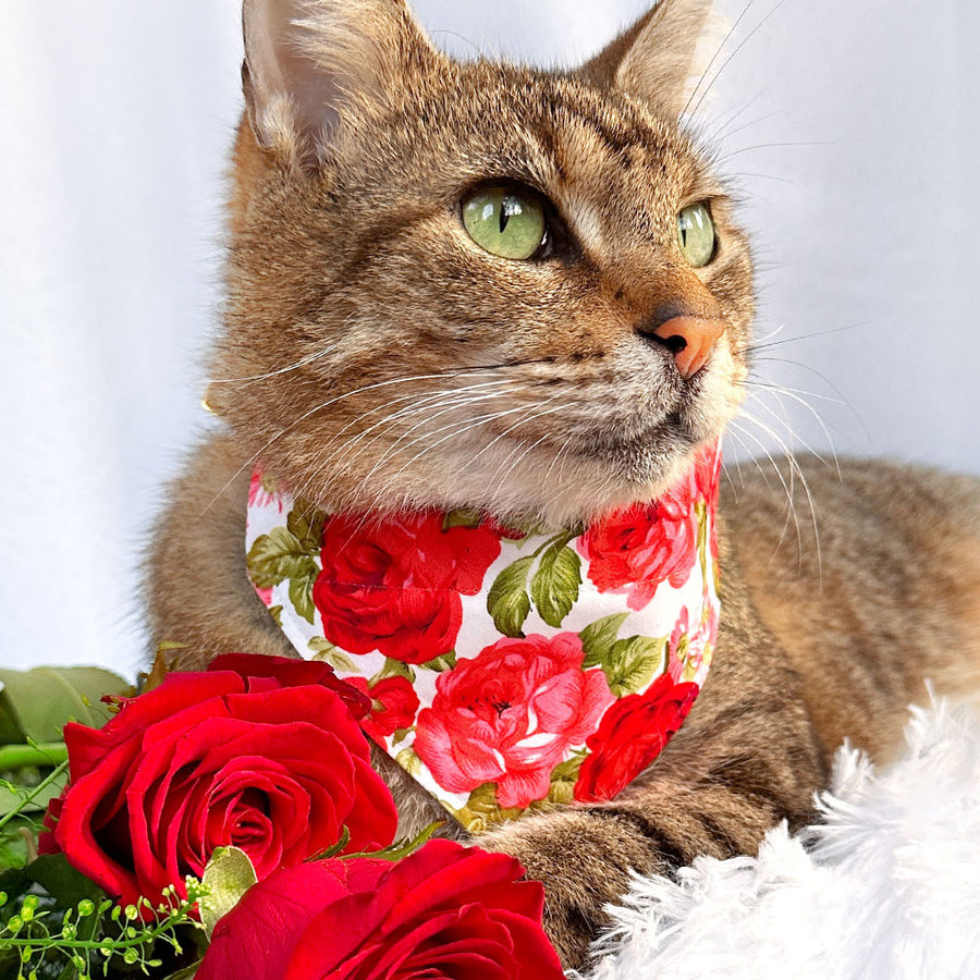 Pet Bandana - "Roses" - Red Rose Bandana for Cat + Small Dog / Valentine's Day, Wedding, Floral / Slide-on Bandana / Over-the-Collar (One Size)