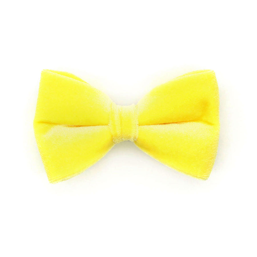Pet Bow Tie - "Velvet - Lemon Yellow" - Light Yellow Velvet Bow Tie for Cat / For Cats + Small Dogs (One Size)